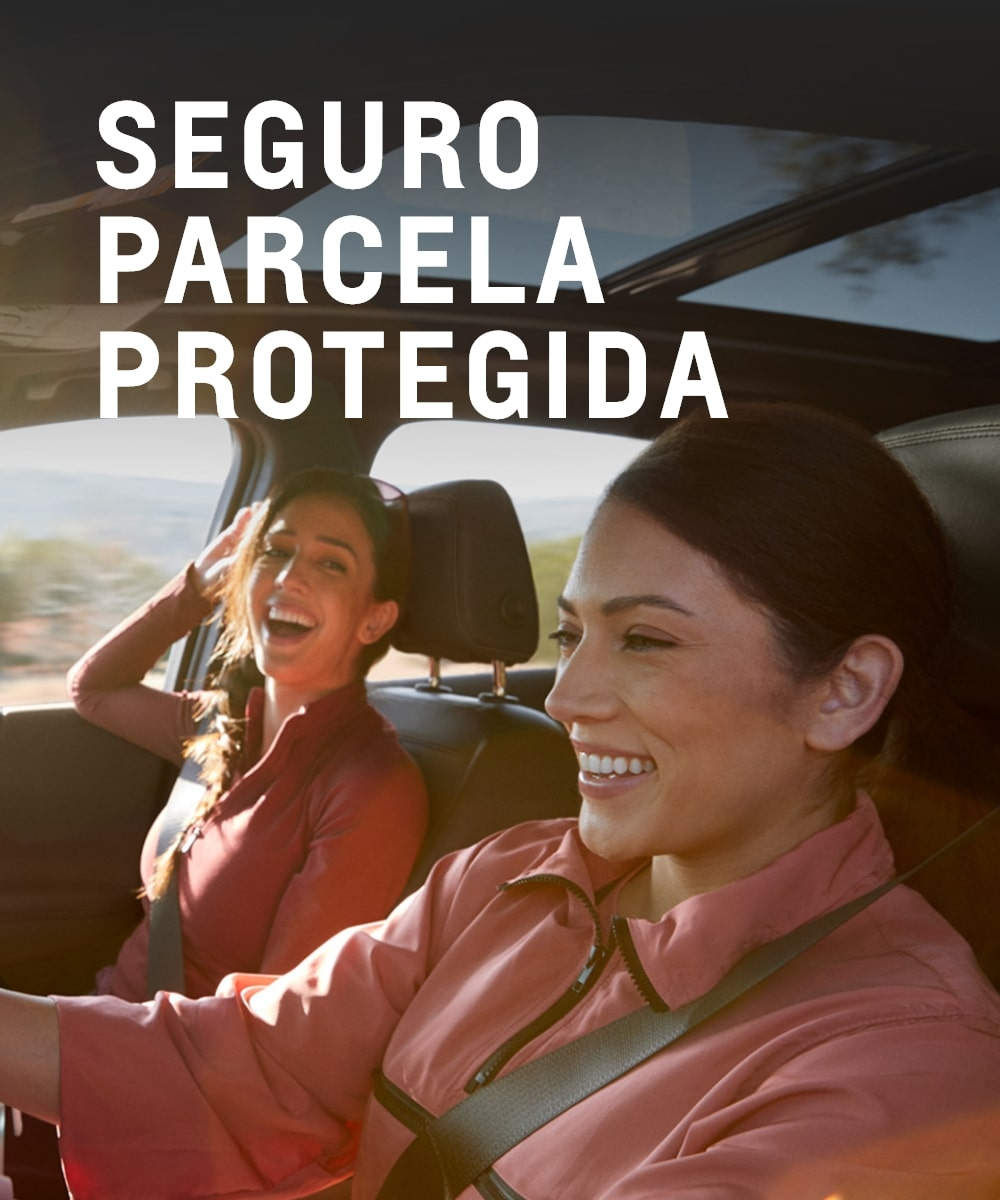 Sobre a rede primarca